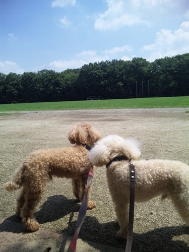 170707_101233.jpg