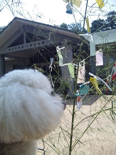 170707_101517.jpg