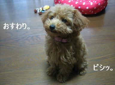 20090616a.JPG