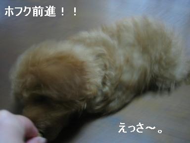 20090616d.JPG