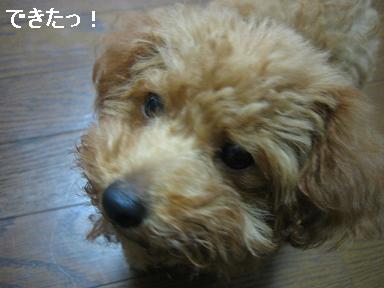 20090616g.JPG