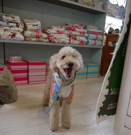 20100815e.jpg