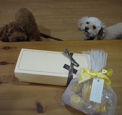 20100815i.jpg