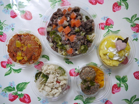 20100831a.jpg