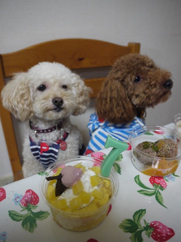20100831aa.jpg