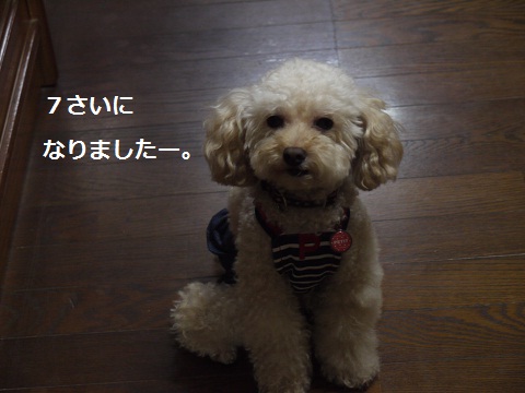 20100831b.jpg
