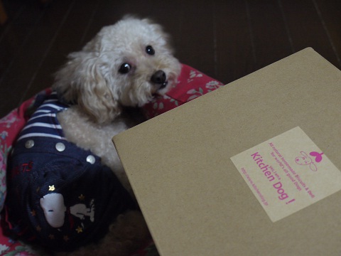 20100831c.jpg