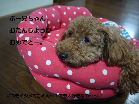 20100831d.jpg