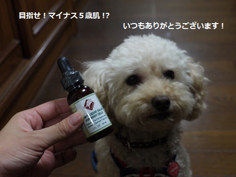 20100831e.jpg