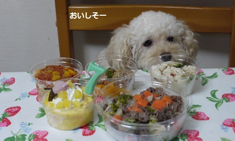 20100831f.jpg