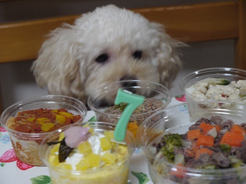 20100831g.jpg