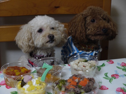 20100831h.jpg