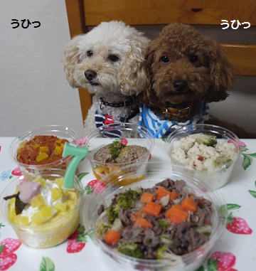 20100831i.jpg