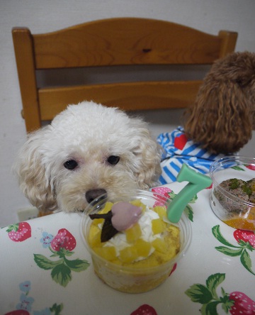 20100831j.jpg