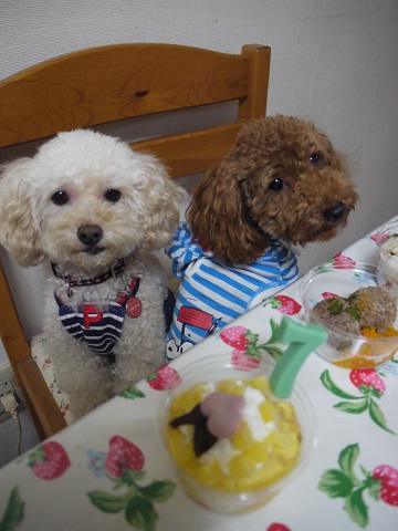 20100831k.jpg