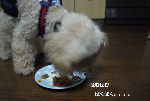 20100831l.jpg