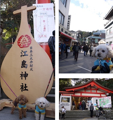 20110101a.jpg