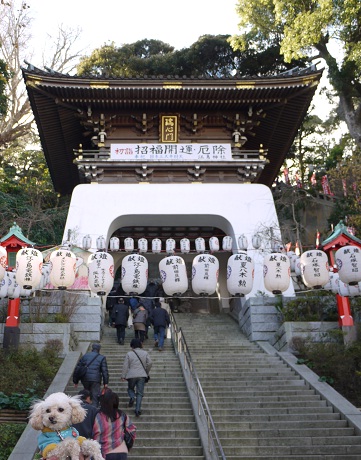 20110101b.jpg