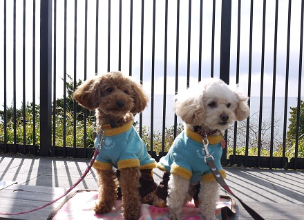 20110101c.jpg