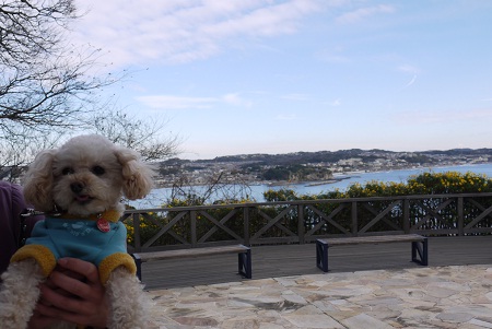 20110101g.jpg
