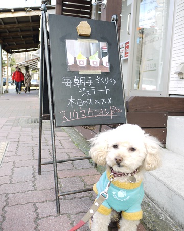 20110101i.jpg