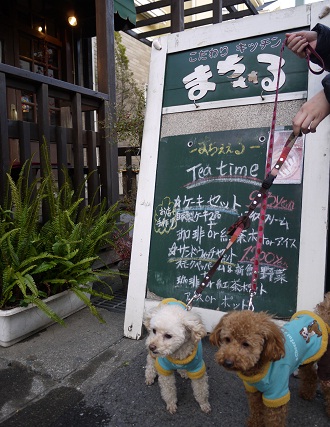 20110101m.jpg