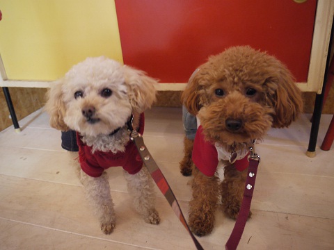 20110201b.jpg