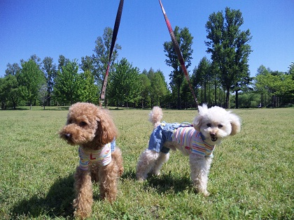 20110515.jpg