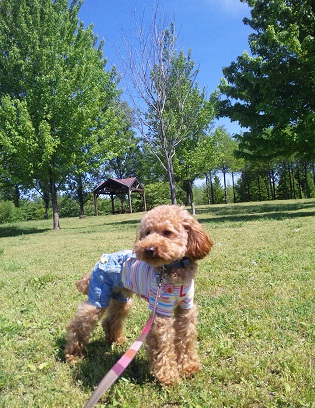 20110515a.jpg
