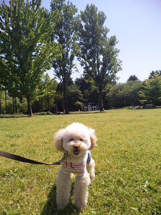 20110515b.jpg