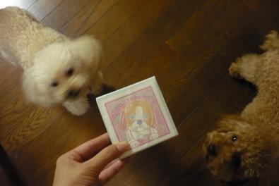20110814c.jpg