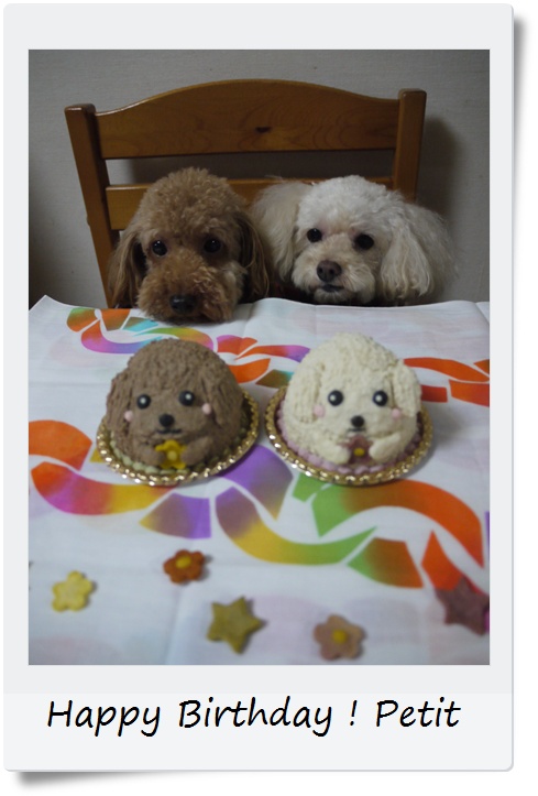 20110831ff.JPG