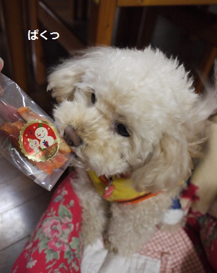 20111211a.jpg