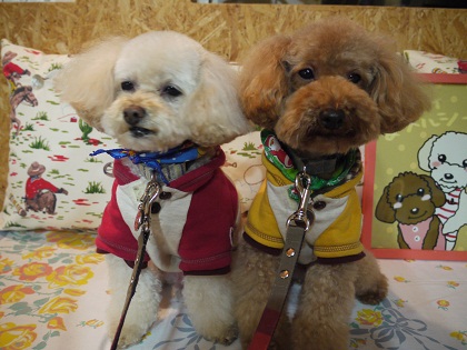 20111213.jpg