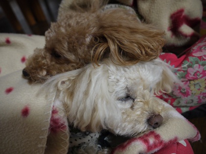 20120318.jpg