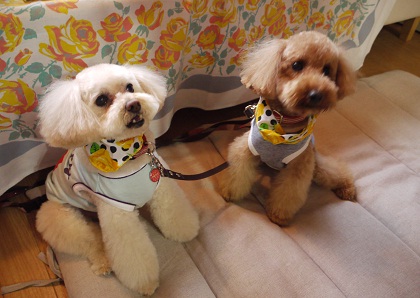 20120425.jpg