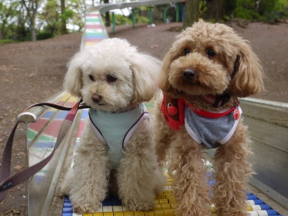 20120425a.jpg