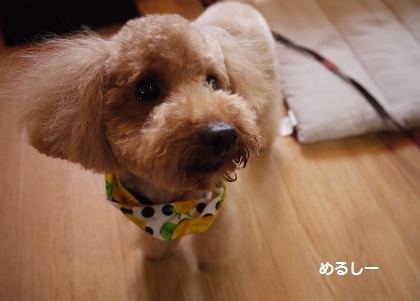 20120425b.jpg
