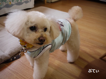 20120425c.jpg