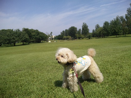 20120627.jpg