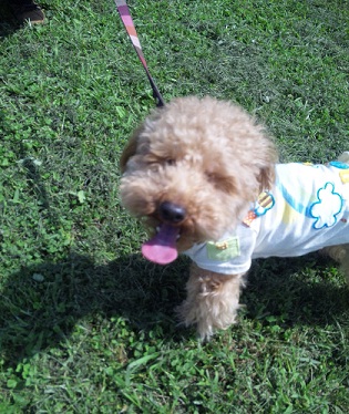 20120627a.jpg