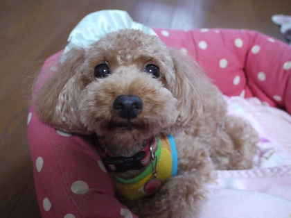 20120929.jpg