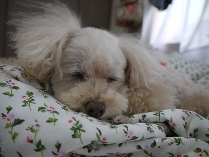 20120929a.jpg