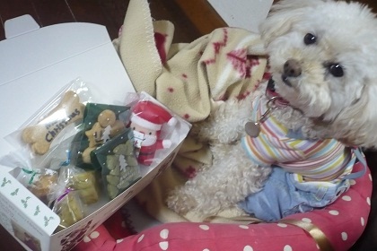 20121207p1.jpg