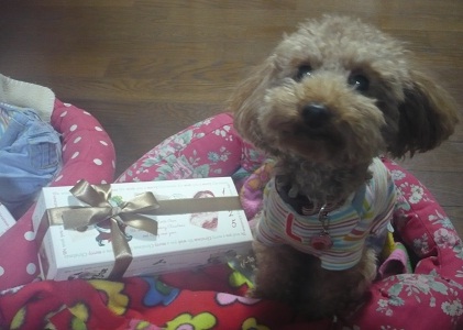 20121207p2.jpg