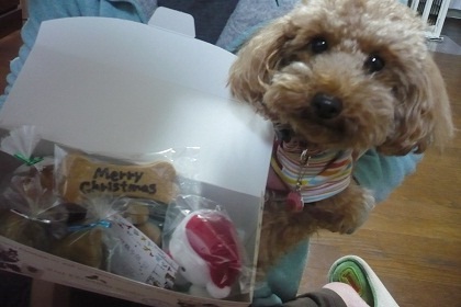 20121207p3.jpg