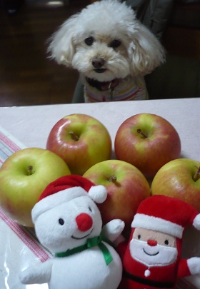 20121207p4.jpg