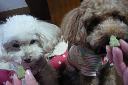 20121207p6.jpg