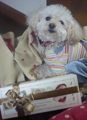 20121207p7.jpg