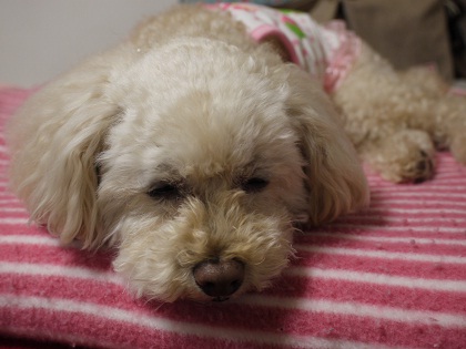 2013.05.16a.jpg